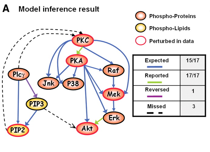 Sachs figure 3a